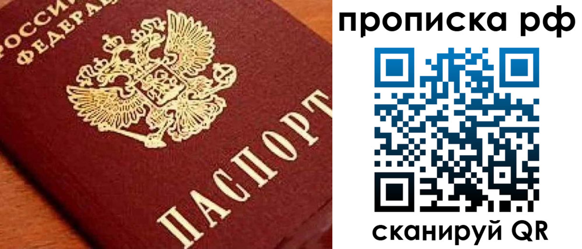 прописка законно в Луге